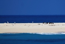 Dry Tortugas National Park
